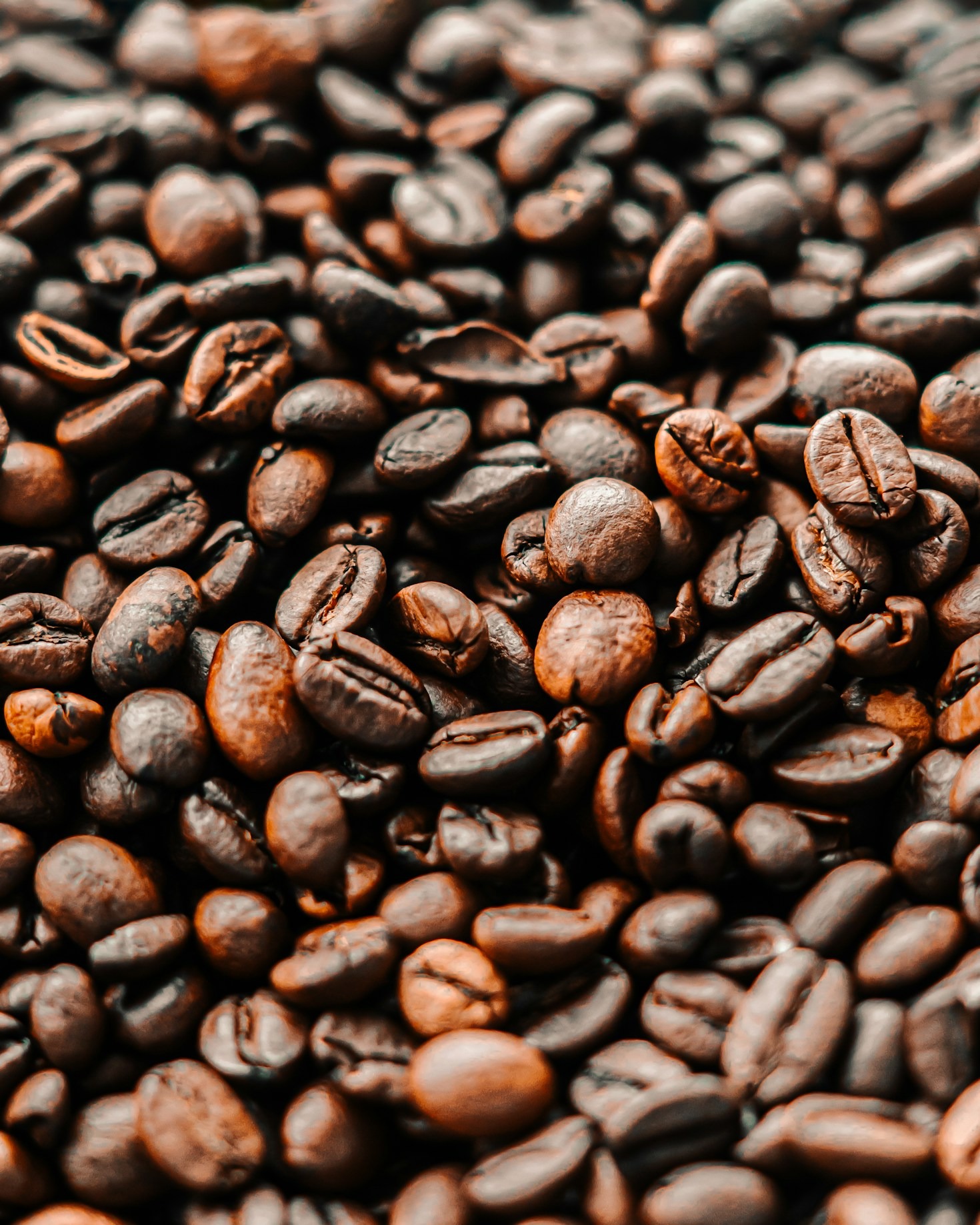 Sourcing Excellence Through Sustainable Farming Practices